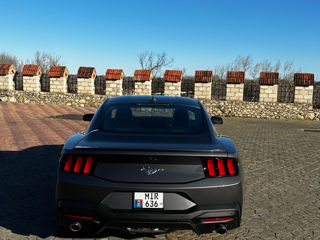 Ford Mustang foto 6