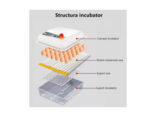 Incubator pentru ouă Demetra DM-64 foto 4