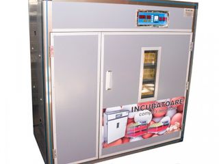 Инкубатор автоматический MS-1056/Incubator MS-1056 ouă Automat/Livrare Gratuita/Garantie/20000 lei foto 1