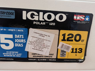 Igloo cooler, polar model, 120 qt (113,56 l) capacity  lada frigorifică igloo foto 9