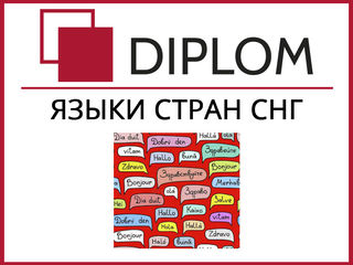 Личный менеджер от Diplom. Юридические лица. Скидки. Индивидуальный подход. foto 13