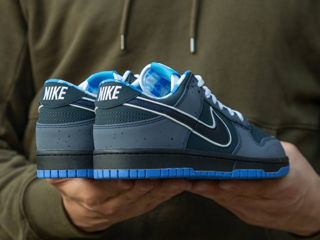 Nike SB Dunk Blue Lobster foto 6