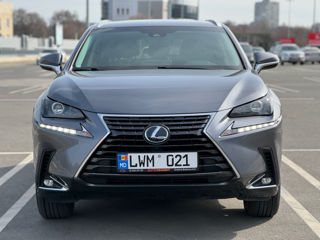 Lexus NX Series