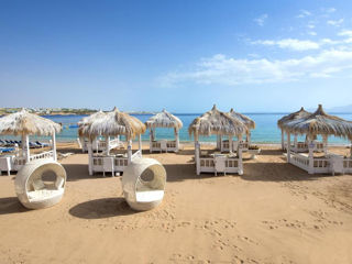 Sharm! Sunrise Arabian Beach Resort 5*! Din 26.04! foto 5