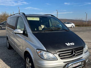 Mercedes Viano