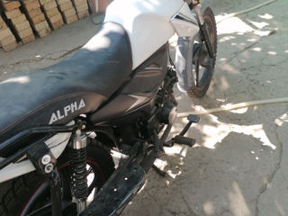 Alpha Moto 110