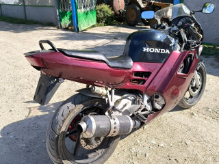 Honda Cbr 600 foto 3