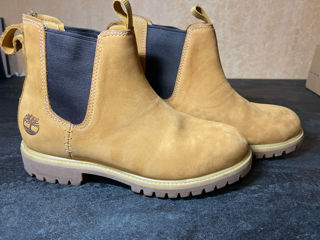 Timberland foto 4