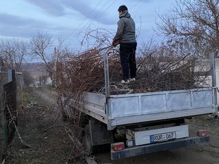 Serviicii evacuare deseuri ,hamali .lift mobil,container foto 5