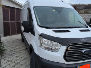 Ford Transit Kasten foto 2