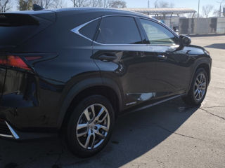 Lexus NX Series