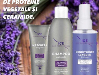 Set șampon/conditioner/masca Par blond foto 4