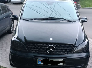 Mercedes Viano foto 3