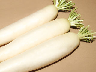 Seminte de Daikon TITAN F1 /  livrare / consultatii agronomice foto 6