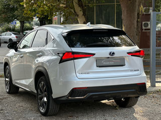 Lexus NX Series foto 6