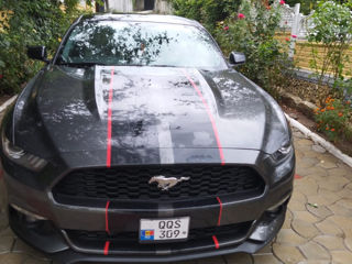 Ford Mustang foto 8