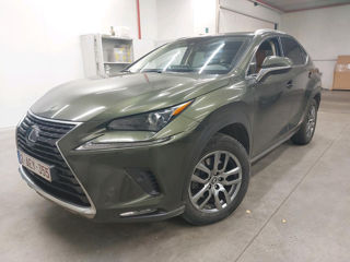 Lexus NX Series