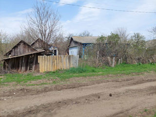 Lot cu casa in Raionul Cimislia , satul Albina foto 1