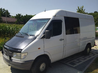 Mercedes Sprinter 312 foto 2