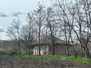 Casa cu teren 47ari, satul Gribova foto 6