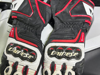 Dainese