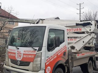 Chirie Autoturn ! Taierea copacilor in toata Moldova ! foto 18