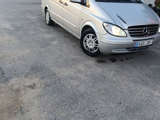 Mercedes Viano foto 2