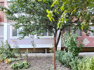 3-комн. кв., 51 м², 5/5 эт.