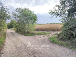 Lot de teren agricol 98ari! Băcioi, str. Băcioii Noi! foto 1