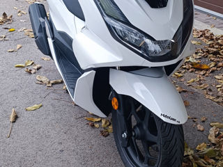 Honda PCX foto 2