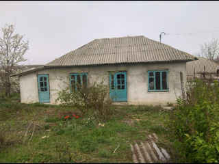 Продам дом в селе