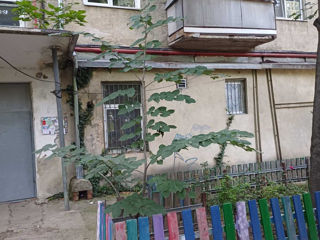 Apartament cu 3 camere, 52 m², Botanica, Chișinău