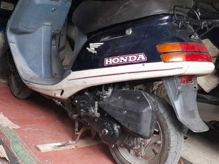 Honda Honda TACT 24 foto 6