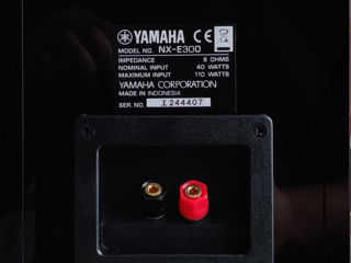 High quality HI-FI components Yamaha CRX-550 DAB Speakers Yamaha NX-E300 foto 13