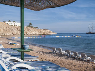 Египет! Continental Plaza Beach & Aqua Park Resort 4*-440 € foto 9