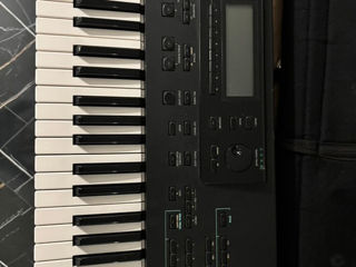 Clapa Korg foto 3