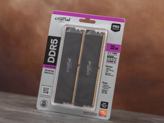 Crucial DDR5 Pro Kit 2*16GB (32GB) 6000Mhz CL36 [Nou,Cutie]