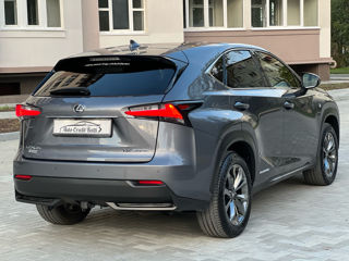 Lexus NX Series foto 10