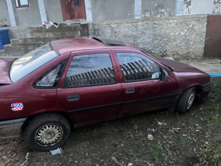 Opel Vectra foto 6