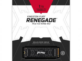 SSD Kingston FURY Renegade, 1000GB