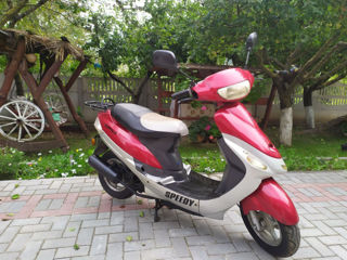 Reax Buffalo 49cc New