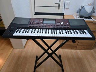 Korg Pa700 cu stativ