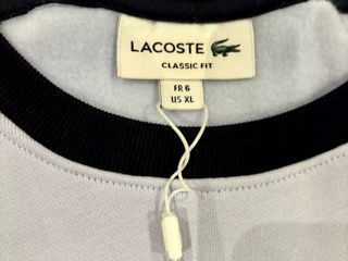 Lacoste original foto 2