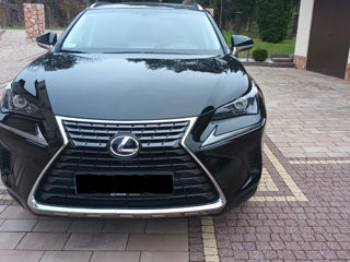 Lexus NX Series foto 5