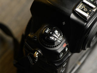 Nikon D3s foto 7