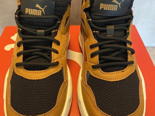 Puma foto 4