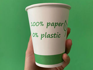 Veselă biodegradabilă de unică folosință