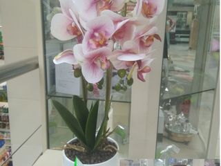 Искусственные цветы орхидея для домашнего декора./Flori artificiali foto 10
