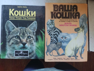Книги по уходу за кошками