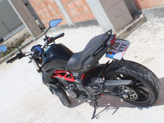 Benelli TnT302S foto 5